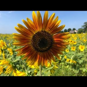 Meet your Posher, Alan